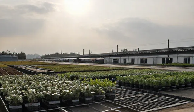 种苗套装选型与使用维护建议